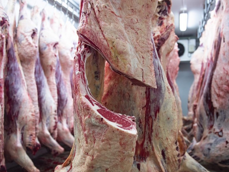 température pour conserver la viande