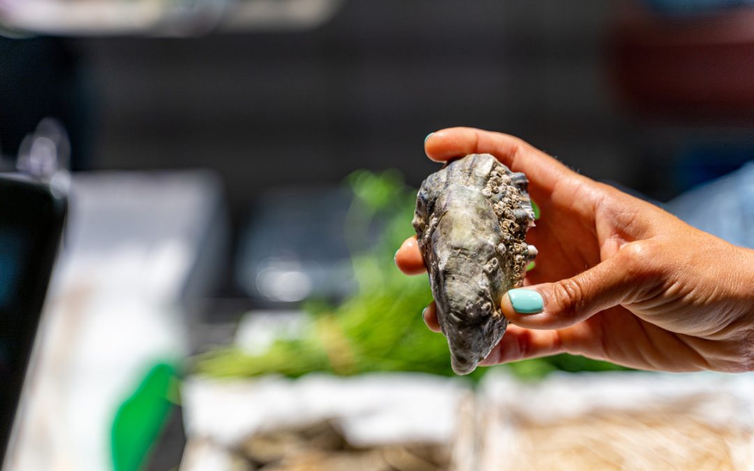 Comment conserver des huîtres fermées au frigo ?