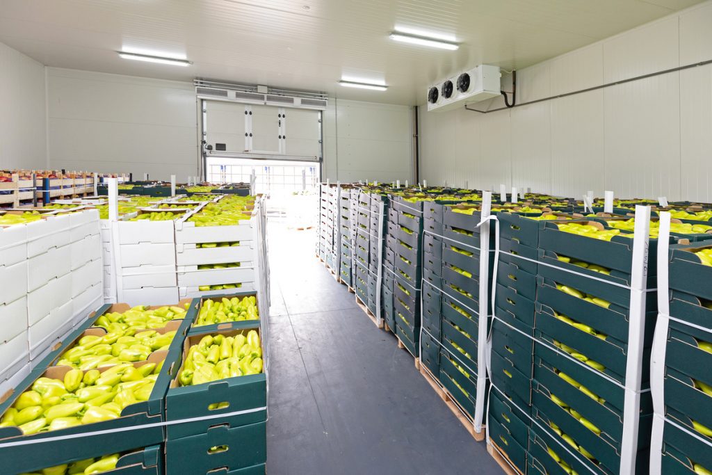 chambre froide positive avec légumes