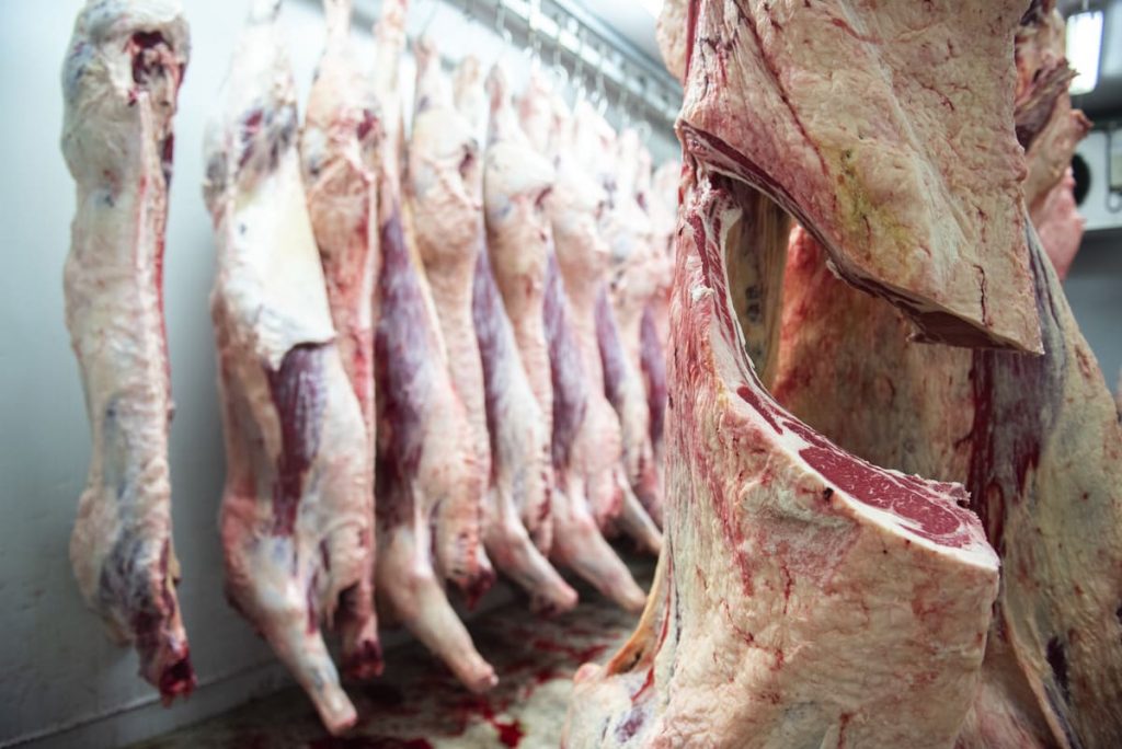 chambre froide à viande