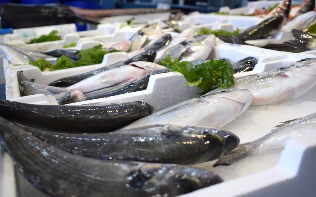Quelle est la forme de glace idéale pour un présentoir à poissons ?