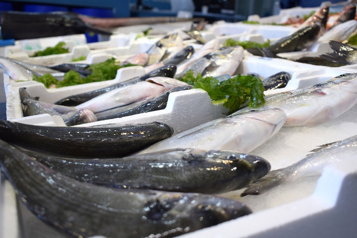 comptoir à poisson