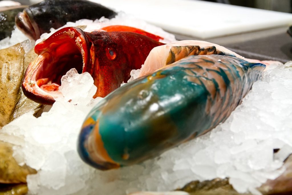 glaçons à poisson