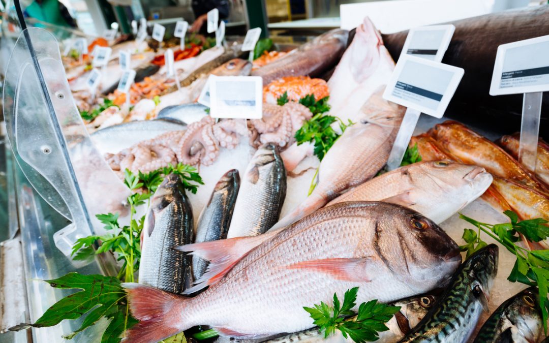 Comment choisir une machine à glace pour poissonnerie ?