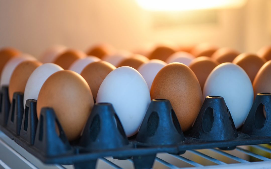 Doit-on mettre les œufs au frigo ?