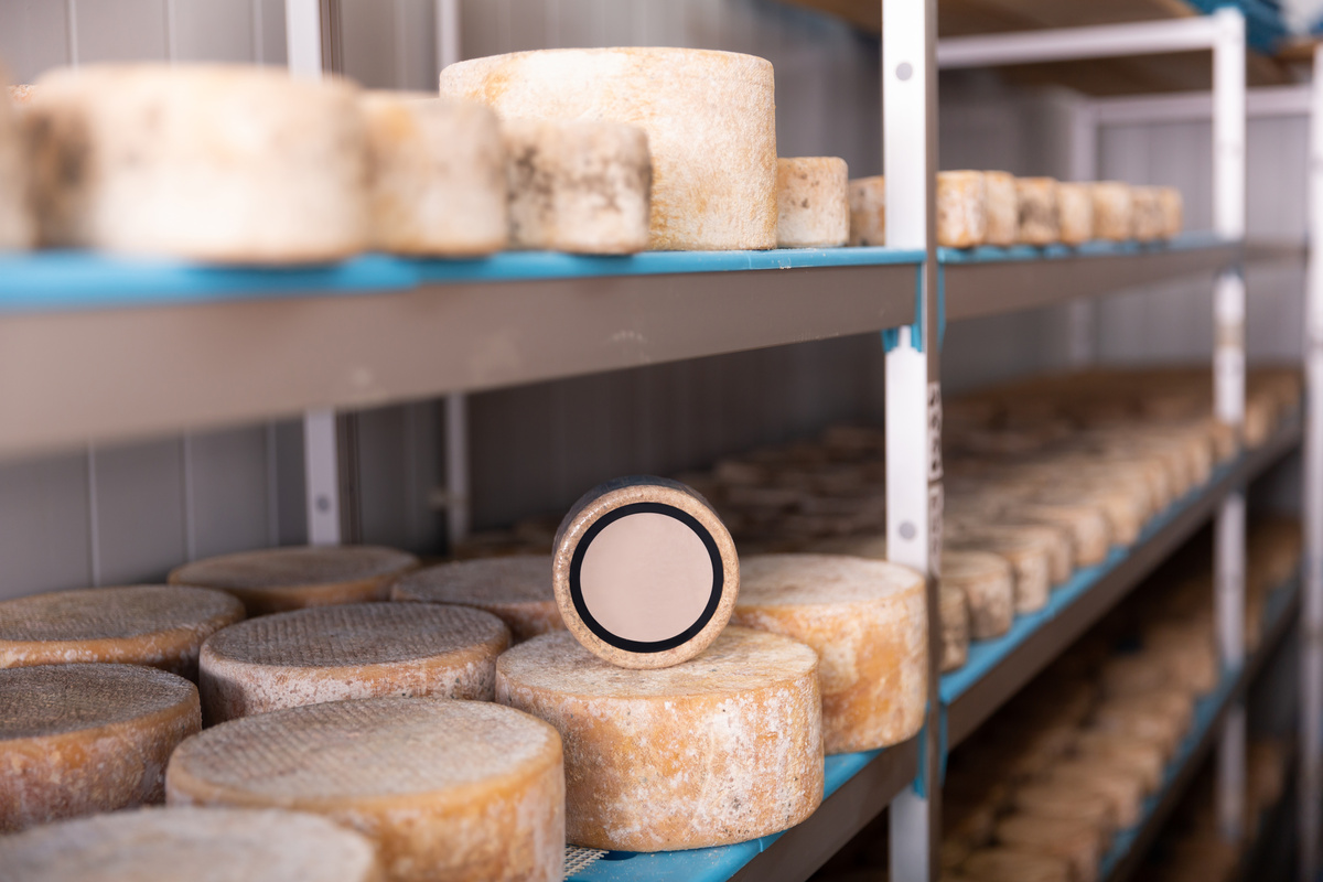 chambre froide pour fromage chambre froide pour fromage