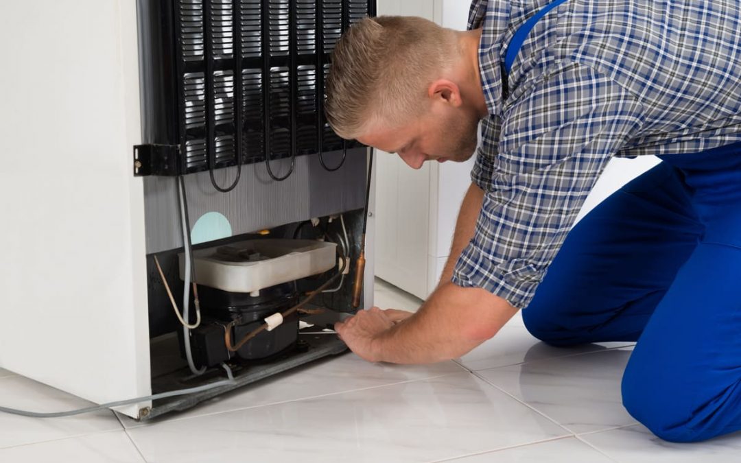 Comment remplacer un thermostat de congélateur combiné ?