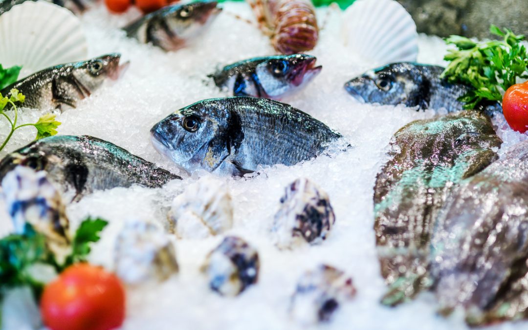 Glace en écaille : Production, conservation et distribution