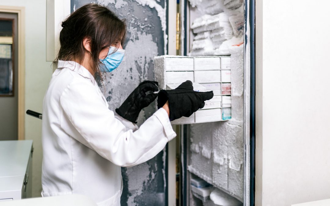 Réfrigérateur de laboratoire : Pourquoi choisir un frigo Liebherr ?