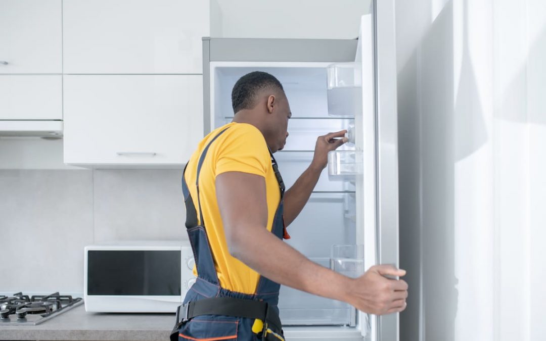 Armoire réfrigérée positive 600 litres : Pourquoi la choisir ? 