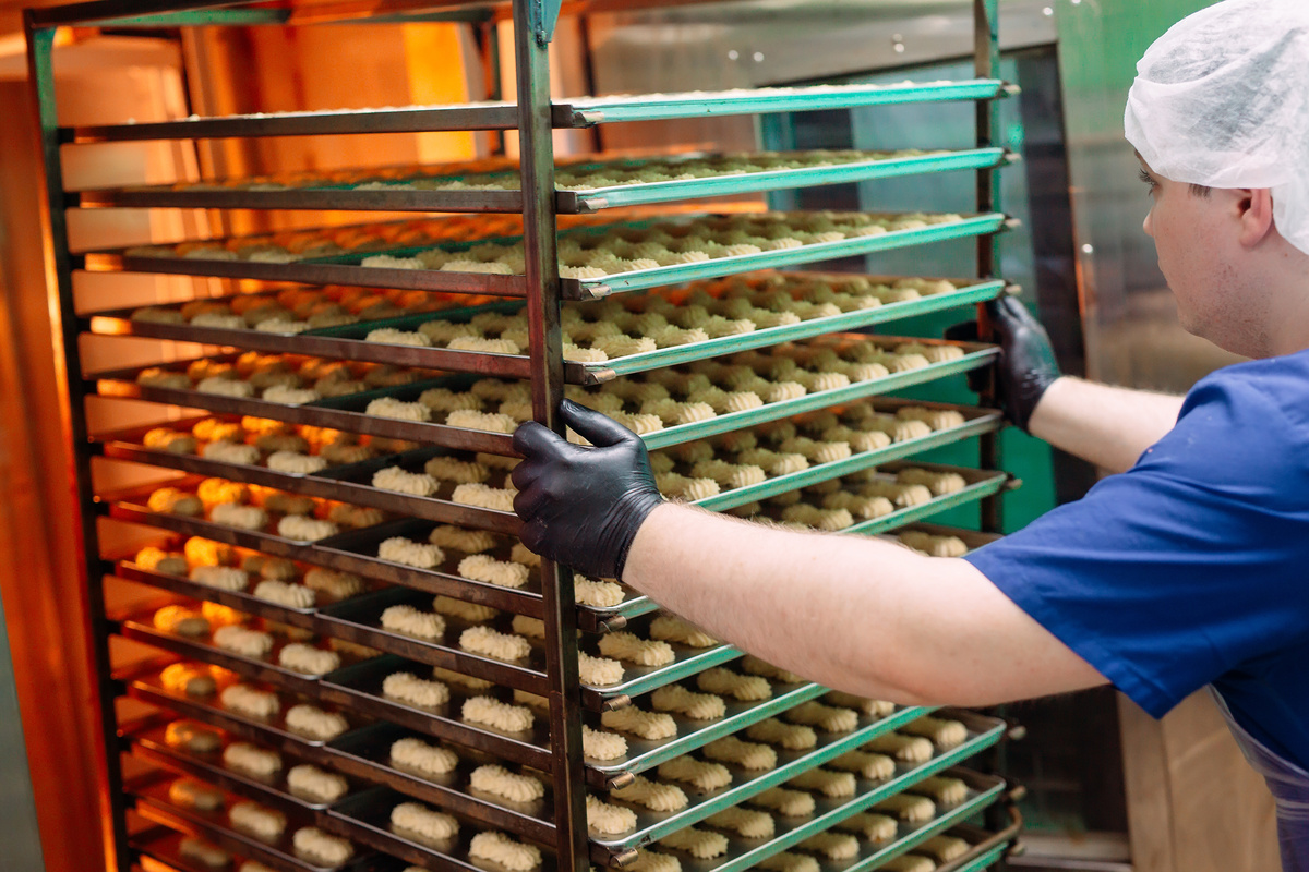 armoire-de-fermentation