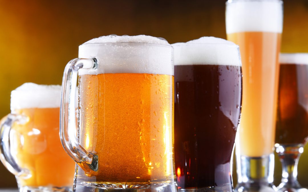 Comment choisir une armoire de fermentation ?