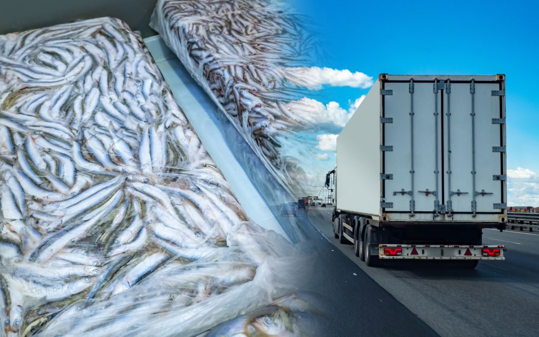 Comment transporter des produits congelés professionnels ?