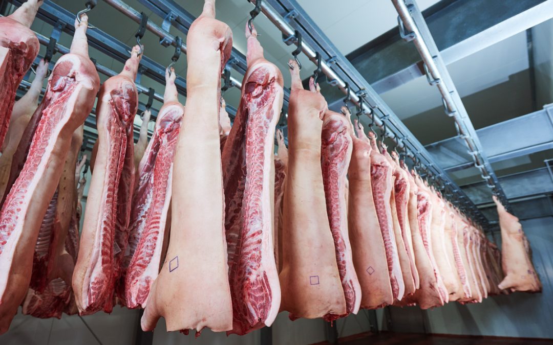 Pourquoi laisser reposer la viande après abattage ?