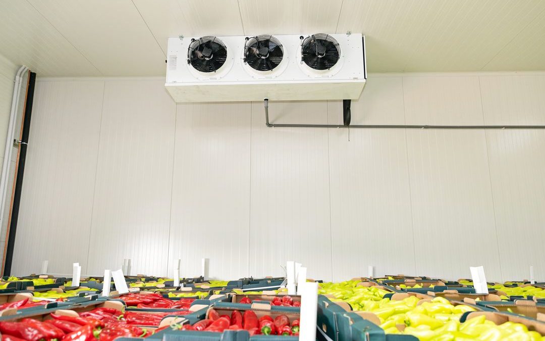 Quelle alimentation pour une chambre froide ?