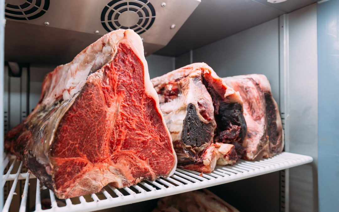 Mini cave de maturation viande : La sélection d&rsquo;Iceshop