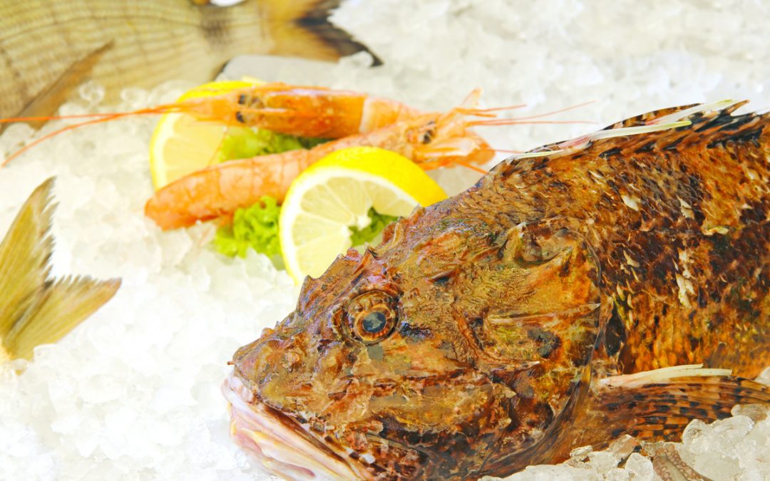 Peut-on congeler des fruits de mer cuits ?