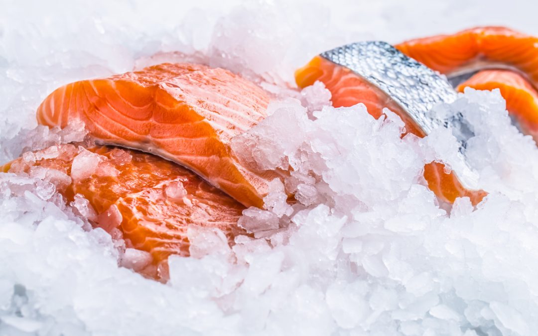 Machine à glace écaille poisson : La 113kg/24h de Brema