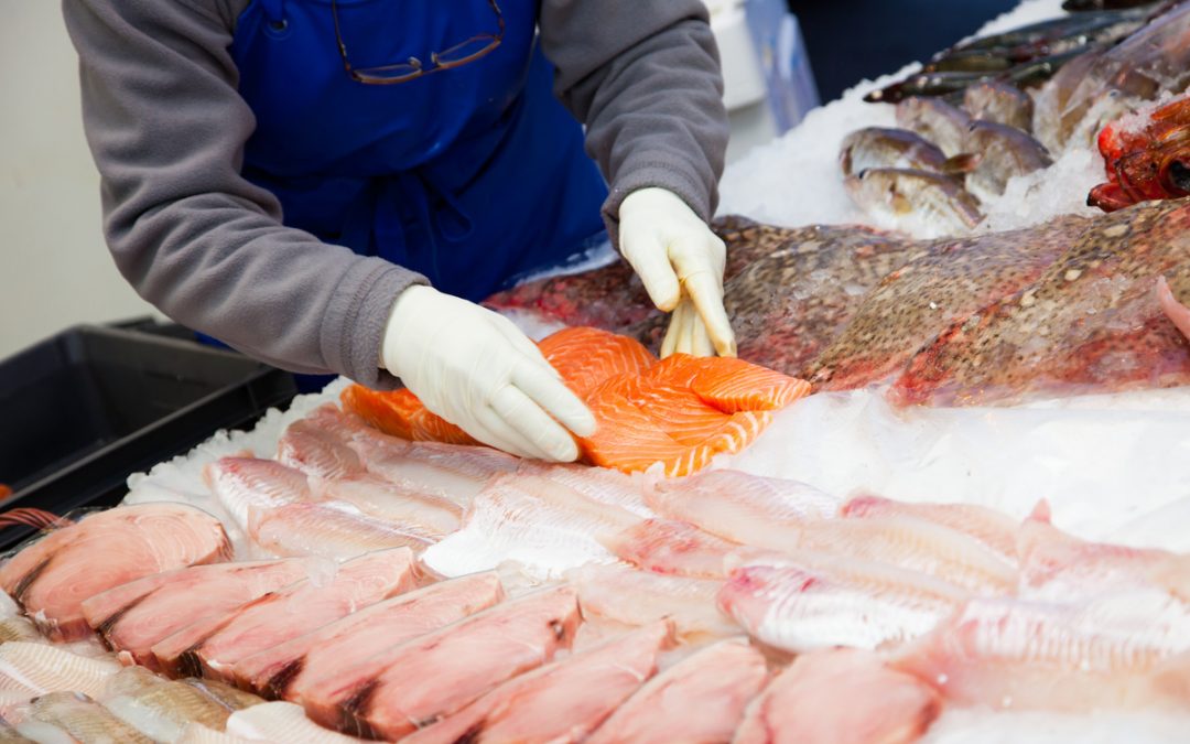 Machine à glace poissonnerie : le TOP 3 d’iceshop