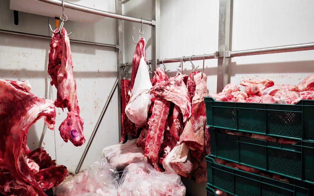 Quelle chambre froide pour boucherie ? 
