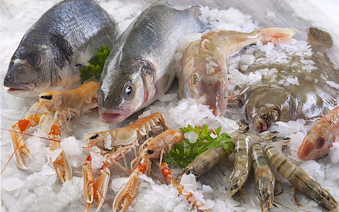 Machine à glace pilée Brema 67kg/24h : Des poissons et crustacés bien conservés