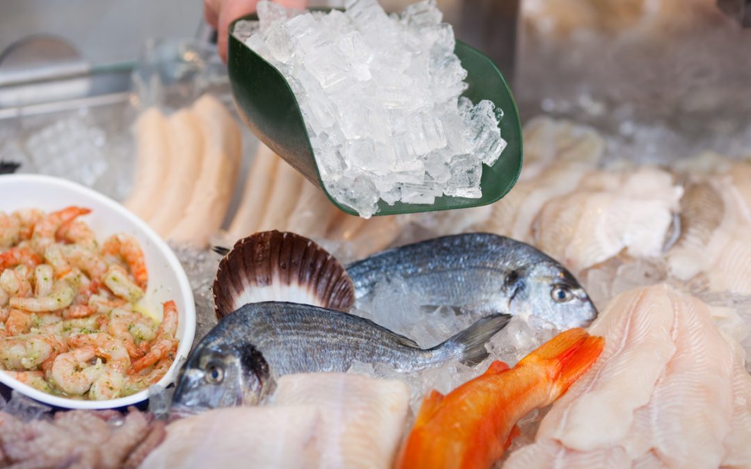 Fabrication de glace pour poissonnerie : Nos conseils pour des poissons bien conservés