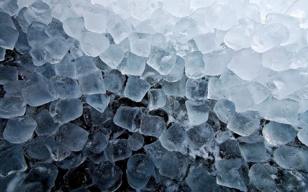 Hoshizaki IM30CNE : Plus de 30 kg de glace produite avec cette machine à glaçons