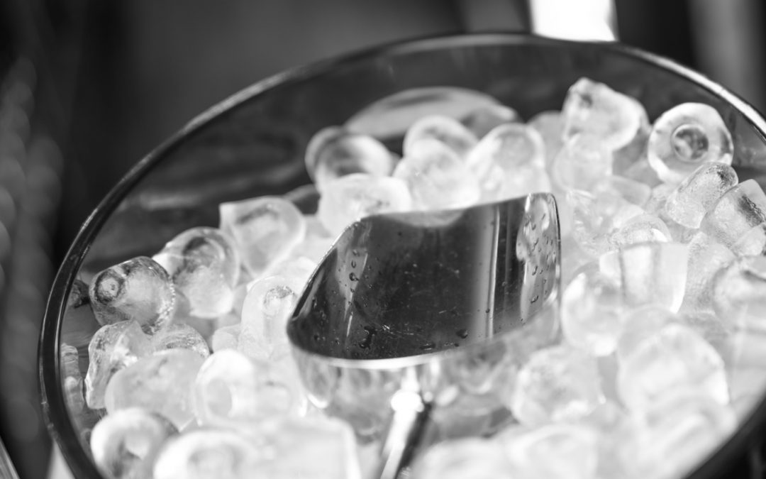 Machine à glace Hoshizaki FM Series : Découvrez la gamme de glace grain de haute qualité