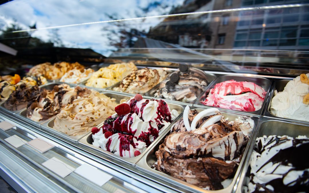 Vitrine à glace 13 bacs : Faites le choix de la Bermuda 13