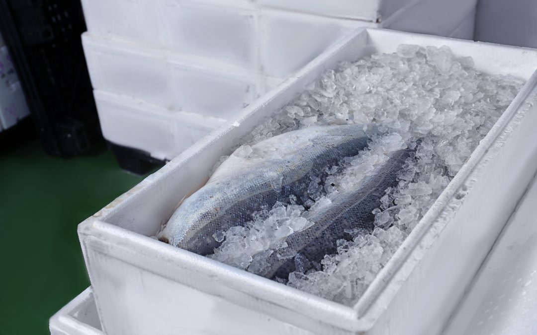 Quels produits de poissonnerie stocker dans une chambre froide ?