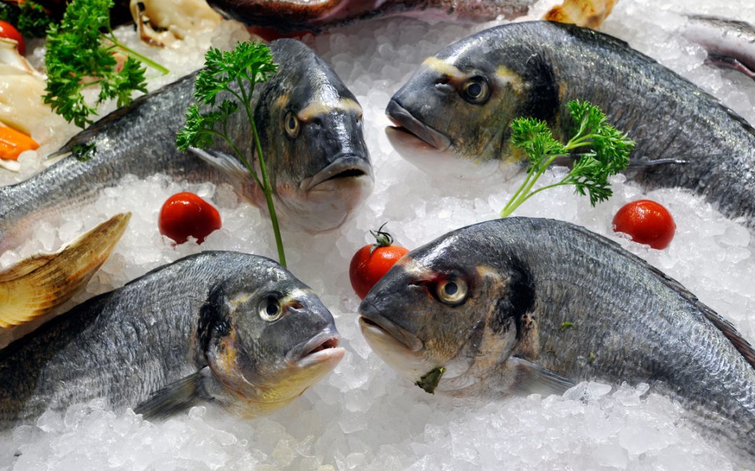 Comment conserver des produits de la pêche et de l&rsquo;aquaculture ?
