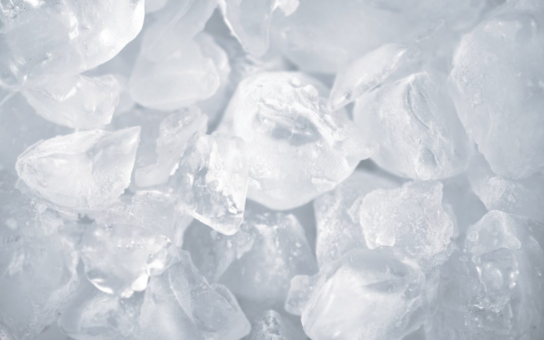 Conservation et présentation de poissons et fruits de mer : Pourquoi choisir la glace écaille ?