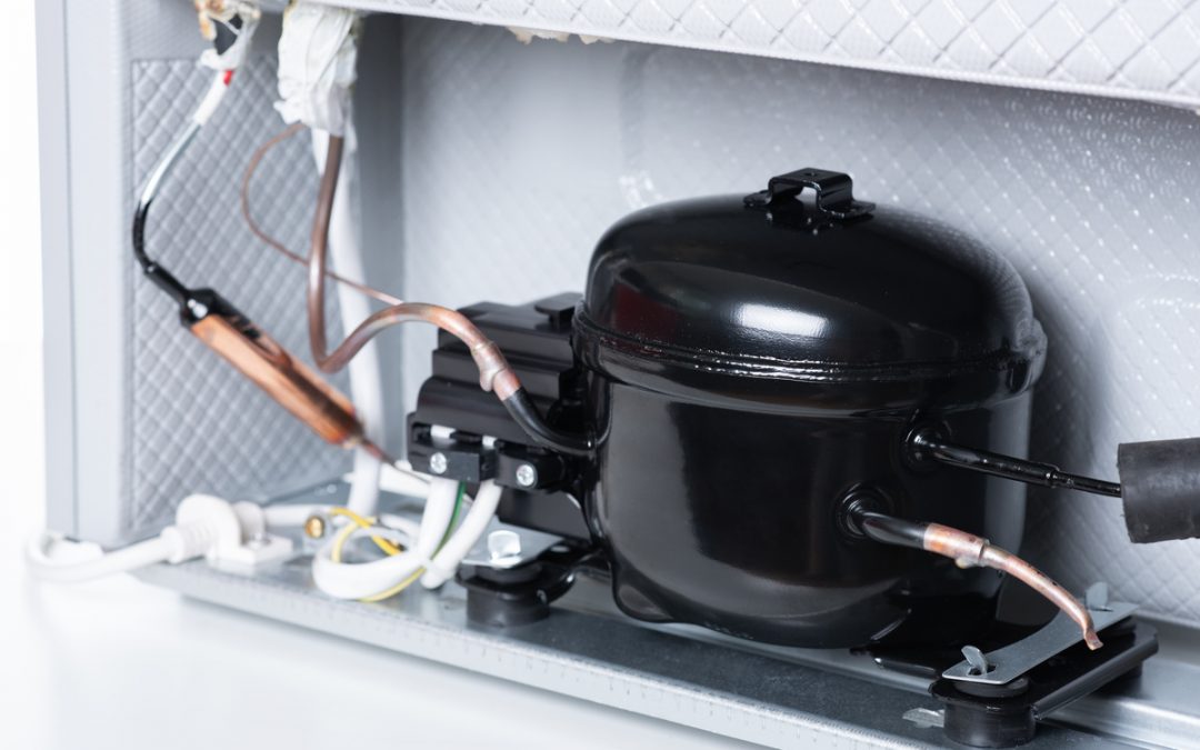 Quel est le meilleur gaz pour armoire réfrigérée positive ? 