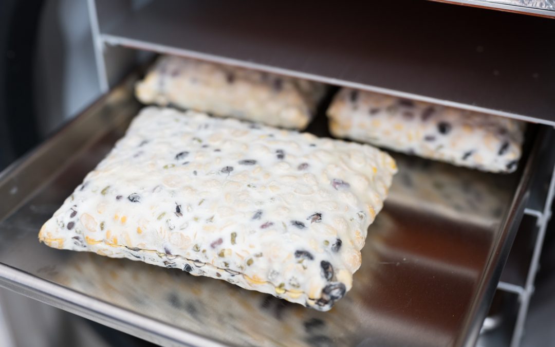 Armoire de fermentation boulangerie : laquelle choisir ?