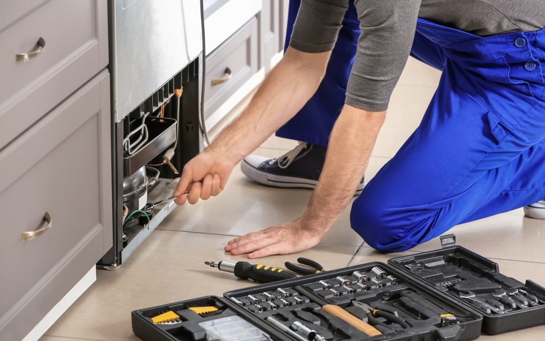 Quel est le meilleur gaz pour armoire réfrigérée positive ?