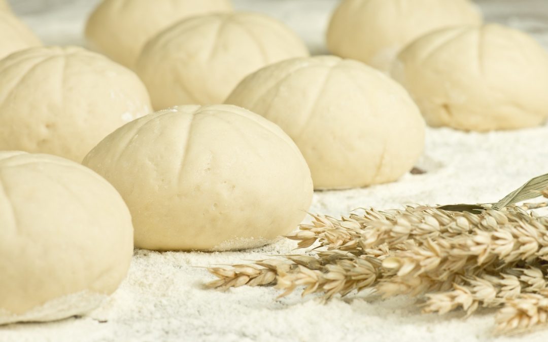 Armoire de fermentation boulangerie : laquelle choisir ?