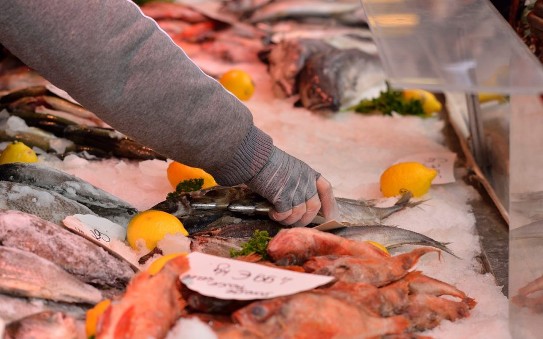 Machine à glace paillette ou écaille pour une poissonnerie ?